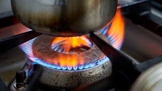 Kitchen Storage Tips: ആട്ടയിലെ പ്രാണികൾ വില്ലനാകുന്നുണ്ടോ? തുരത്താൻ ഇതാ കിടിലൻ മാർ​ഗം