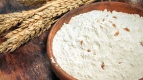 ആട്ടയിലെ പ്രാണികൾ വില്ലനാകുന്നുണ്ടോ? തുരത്താൻ ഇതാ കിടിലൻ മാർ​ഗം