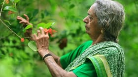 മണ്ണറിഞ്ഞ സ്നേഹം; പത്മപുരസ്കാര സാധ്യതയിൽ ദേവകി അമ്മ