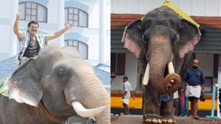 Thanneermukkom temple robbery: തണ്ണീർമുക്കം ക്ഷേത്രത്തിലെ തിരുവാഭരണം കവർന്നു; കീഴ്ശാന്തി ഒളിവിൽ