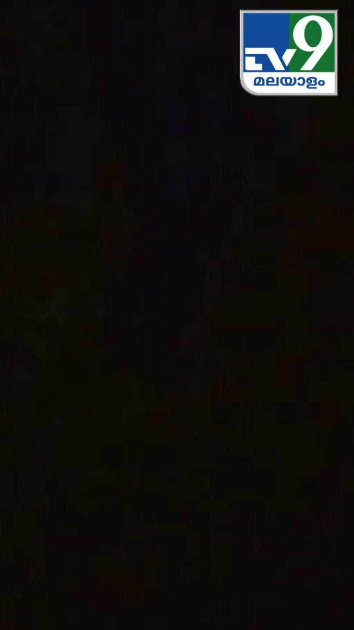 ഊട്ടിക്ക് സമീപമുള്ള ജനവാസ മേഖലയിൽ പുലി എത്തിയപ്പോൾ