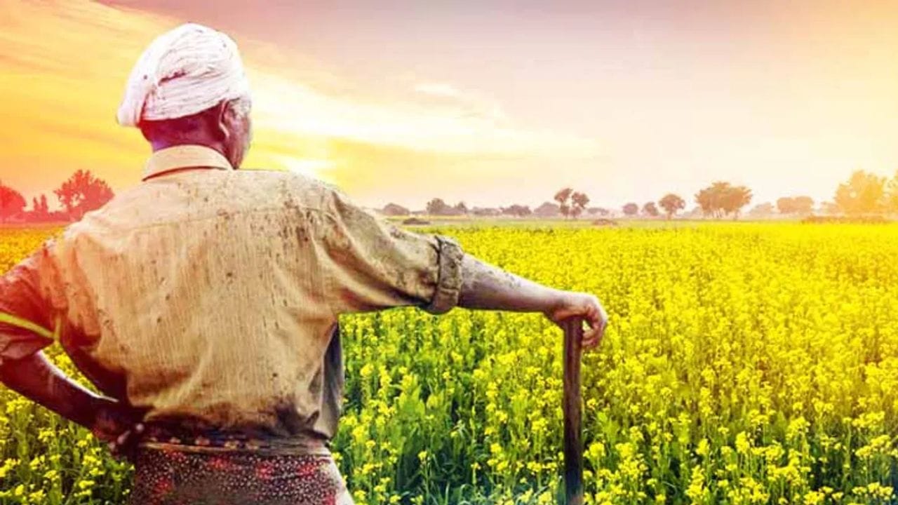 കേന്ദ്ര സര്‍ക്കാരിന്റെ പ്രധാനമന്ത്രി കിസാന്‍ സമ്മാന്‍ നിധിയുടെ 22ാമത്തെ ഗഡുവിനായി കാത്തിരിക്കുകയാണ് ഗുണഭോക്താക്കള്‍. രാജ്യത്തുടനീളമുള്ള കര്‍ഷകര്‍ക്ക് സഹായം നല്‍കുന്നതിനായി ആരംഭിച്ച ഈ പദ്ധതി വിപുലമായ സാമ്പത്തിക സഹായമാണ് നല്‍കുന്നത്. (Image Credits: TV9 Network