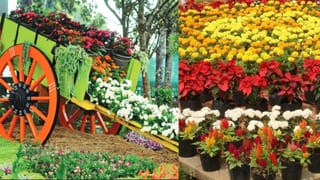 Heart Attack: നാല്പത് കഴിഞ്ഞോ, ഹൃദയത്തിന് വേണം അധിക കരുതൽ; ഇവ ശീലമാക്കിക്കോളൂ…