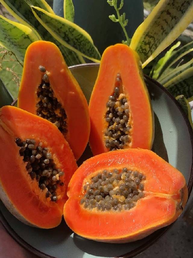 പപ്പായയുടെ വിത്തുകൾ കളയാറാണോ പതിവ്