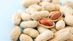 എന്തിനാണ് കപ്പലണ്ടിയുടെ തൊലി കളയുന്നത്...; ചെയ്യുന്നത് തെറ്റ്