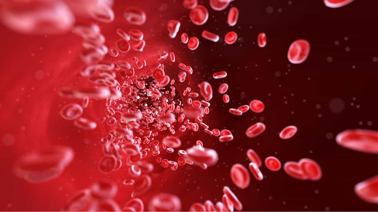 Platelet Count: പ്ലേറ്റ്ലെറ്റ് കൗണ്ട് വർദ്ധിപ്പിക്കാം വീട്ടിൽ തന്നെ; കഴിക്കേണ്ടത് ഈ ഭക്ഷണങ്ങൾ Platelet Count: പ്ലേറ്റ്ലെറ്റ് കൗണ്ട് വർദ്ധിപ്പിക്കാം വീട്ടിൽ തന്നെ; കഴിക്കേണ്ടത് ഈ ഭക്ഷണങ്ങൾ