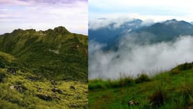 പൊൻമുടിയിലെ സീതാ തീർത്ഥത്തിൻ്റെ പ്രത്യേകത അറിയാമോ? മകര പൊങ്കാല