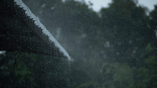 Rahul Mamkoottathil: ‘രാഹുൽ സൈക്കിക് കോഴി’; പോലീസിൻ്റെ നീക്കം കൃത്യമായ നടപടിക്രമങ്ങൾ പാലിക്കാതെയെന്ന് ടിപി സെൻകുമാർ