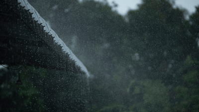 Kerala Rain Alert: തുടങ്ങി വേനൽമഴ... ഇനി ഈ ആഴ്ച മുഴുവൻ ഉണ്ടോ?