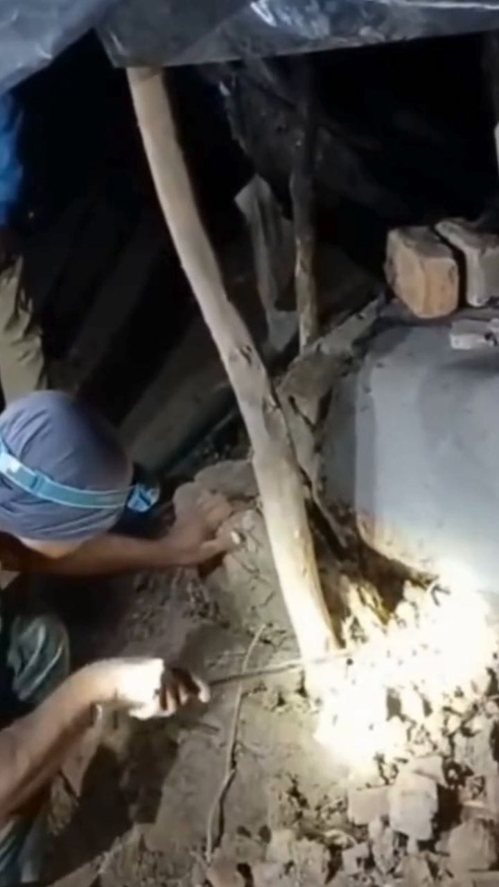 പുറത്തെ അടിപ്പിനുള്ള മൂർഖൻ, ഒന്നല്ല രണ്ടെണ്ണം