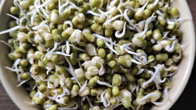 മുളപ്പിച്ച ധാന്യങ്ങൾ രാവിലെ കഴിക്കാറുണ്ടോ? സംഭവിക്കുന്നത് ഇത്