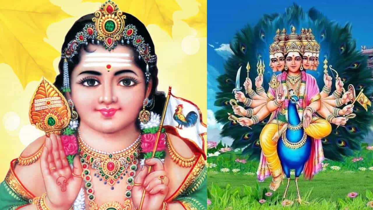 Thaipusam Thaipooyam 2026: തൈപ്പൂയത്തിന് 6 ദിവസം വ്രതം എടുക്കേണ്ടത് എങ്ങനെ? മുരുകന്റെ പ്രീതിക്കായി ഇക്കാര്യങ്ങൾ ചെയ്യൂ