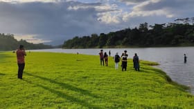 കേരളത്തിലെ സ്വിറ്റ്സർലൻഡ് ഇതാണ്; തട്ടേക്കാട് ഗ്രീൻ മെഡോസ് കാണാൻ