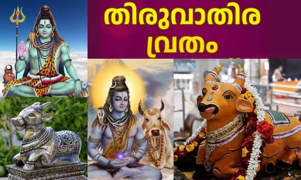 Thiruvathira 2026: ആ​ഗ്രഹസാഫല്യം, ഐശ്വര്യം ഇരട്ടിക്കും! തിരുവാതിരദിനത്തിൽ ശിവഭ​ഗവാനൊപ്പം നന്ദികേശനേയും ആരാധിക്കേണ്ടതിന്റെ പ്രാധാന്യം
