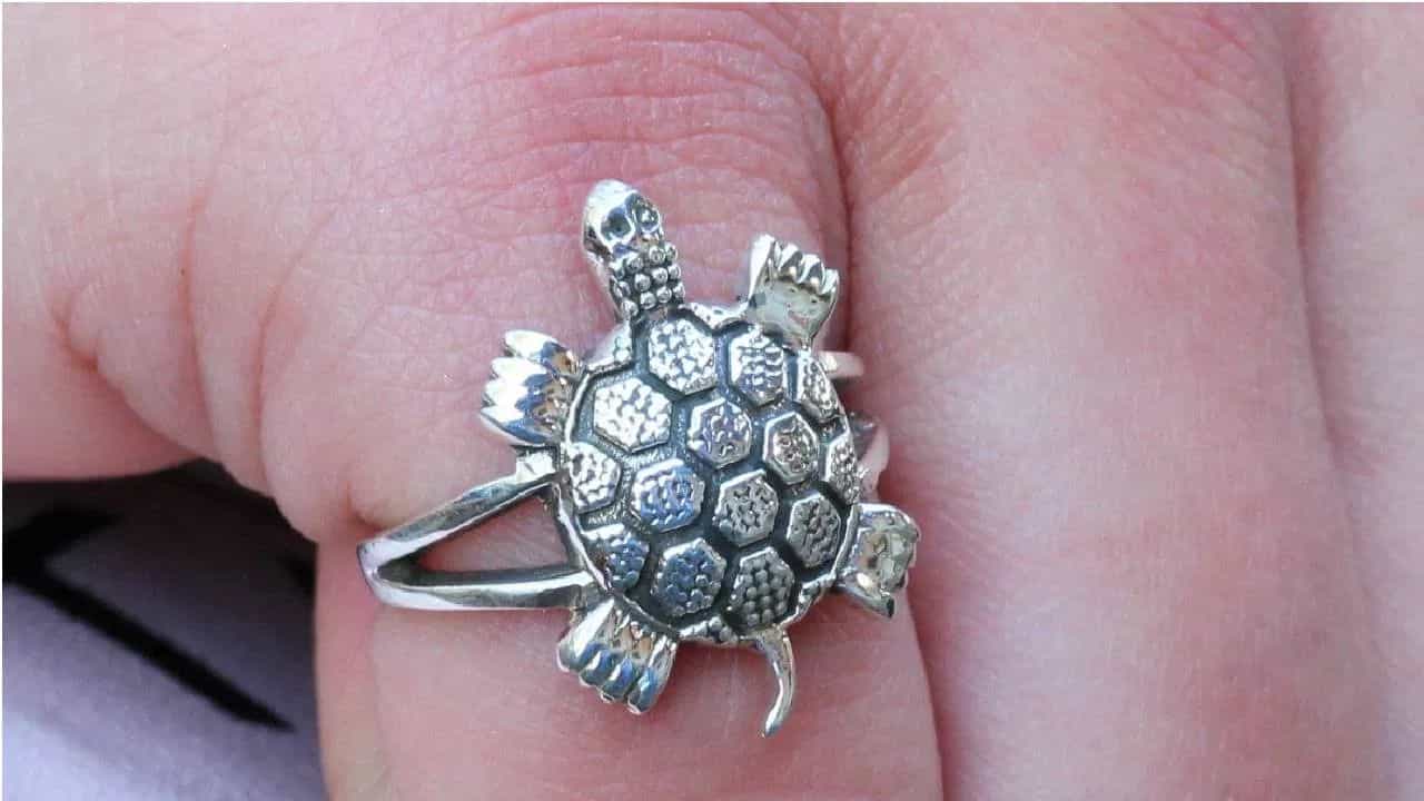Tortoise Ring: ഈ നാല് രാശിക്കാർ ആമ മോതിരം ധരിക്കരുത്! Tortoise Ring: ഈ നാല് രാശിക്കാർ ആമ മോതിരം ധരിക്കരുത്!