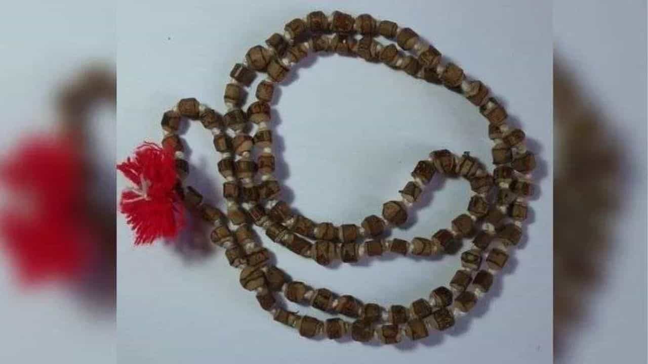 Tulsi Mala Rules: സൂക്ഷിക്കുക! തുളസിമാല ധരിക്കുന്നവരാണെങ്കിൽ ഈ നിയമം അറിയാതെ പോകരുത്