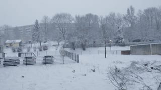 Donald Trump: ‘ആരെയും കൊല്ലാനോ വേദനിപ്പിക്കാനോ ട്രംപിന് താത്പര്യമില്ല’; മിനസോട്ട സംഭവത്തില്‍ വൈറ്റ് ഹൗസ്