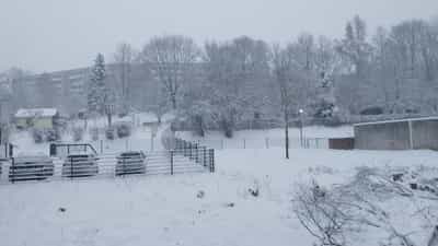 US Winter Storm: മരവിച്ച് അമേരിക്ക; അതിശൈത്യത്തിൽ 20 മരണം, വൈദ്യുതി മുടങ്ങി, വിമാനങ്ങളും റദ്ദാക്കി US Winter Storm: മരവിച്ച് അമേരിക്ക; അതിശൈത്യത്തിൽ 20 മരണം, വൈദ്യുതി മുടങ്ങി, വിമാനങ്ങളും റദ്ദാക്കി