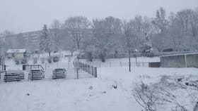 US Winter Storm: മരവിച്ച് അമേരിക്ക; അതിശൈത്യത്തിൽ 20 മരണം, വൈദ്യുതി മുടങ്ങി, വിമാനങ്ങളും റദ്ദാക്കി...
