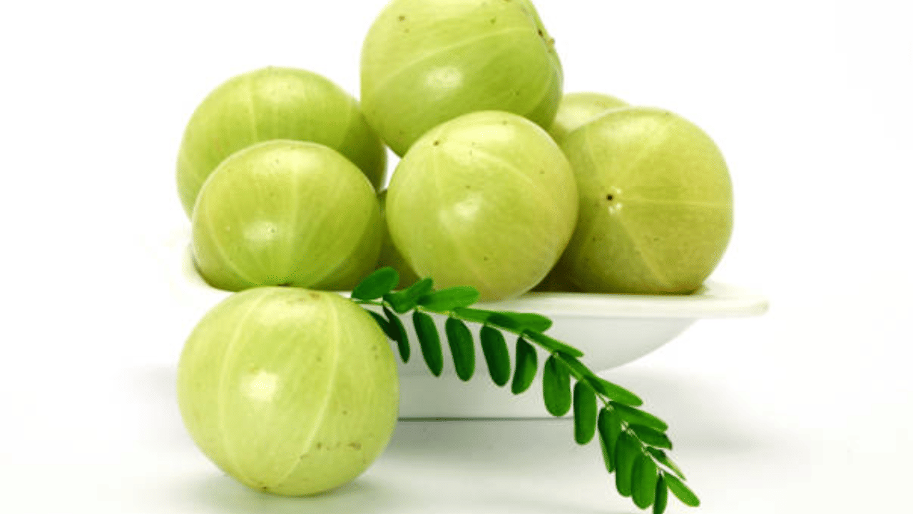 Amla: അച്ചാറിട്ടല്ല, വേവിച്ച് കഴിക്കണം; നെല്ലിക്കയുടെ ഈ ഗുണങ്ങൾ അറിയാതെ പോകരുത്