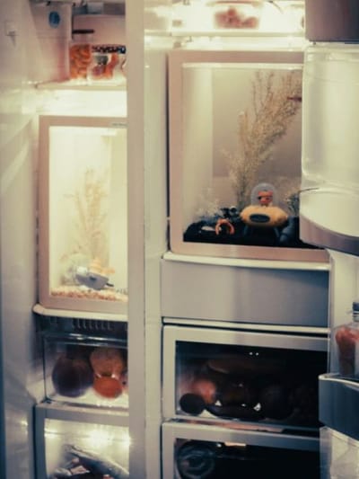 ഫ്രിഡ്ജ്  ഉപയോഗിക്കുന്നതിനും ഉണ്ട് ഒരു തിയറി