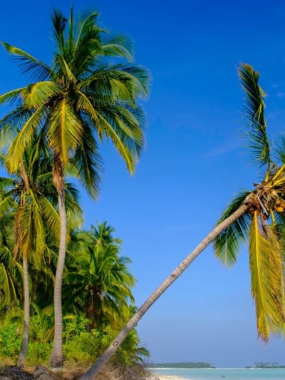 എവിടെയാണ് ഇന്ത്യയിലെ ‘കോക്കനട്ട് ഐലൻഡ്’?