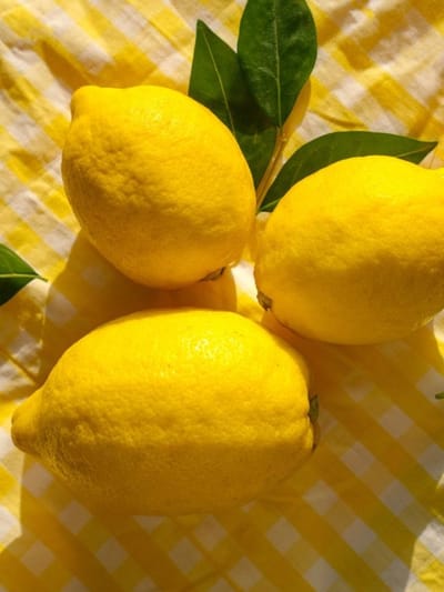 നാരങ്ങ ആഴ്ചകളോളം കേടുകൂടാതെ സൂക്ഷിക്കാം! ദാ ഇങ്ങനെ