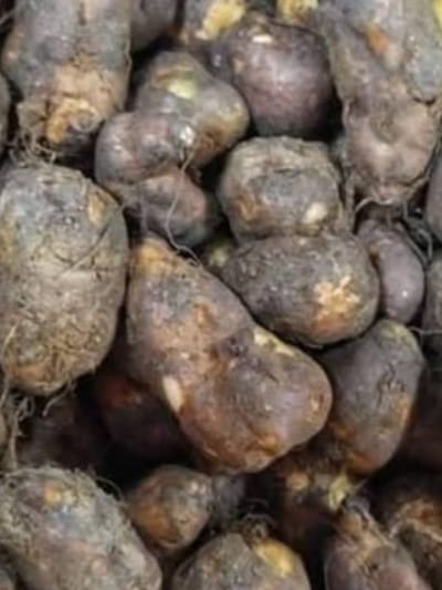 കൂർക്കയുടെ തൊലി കളയാൻ ഇനി എന്തെളുപ്പം! കറ പറ്റില്ല