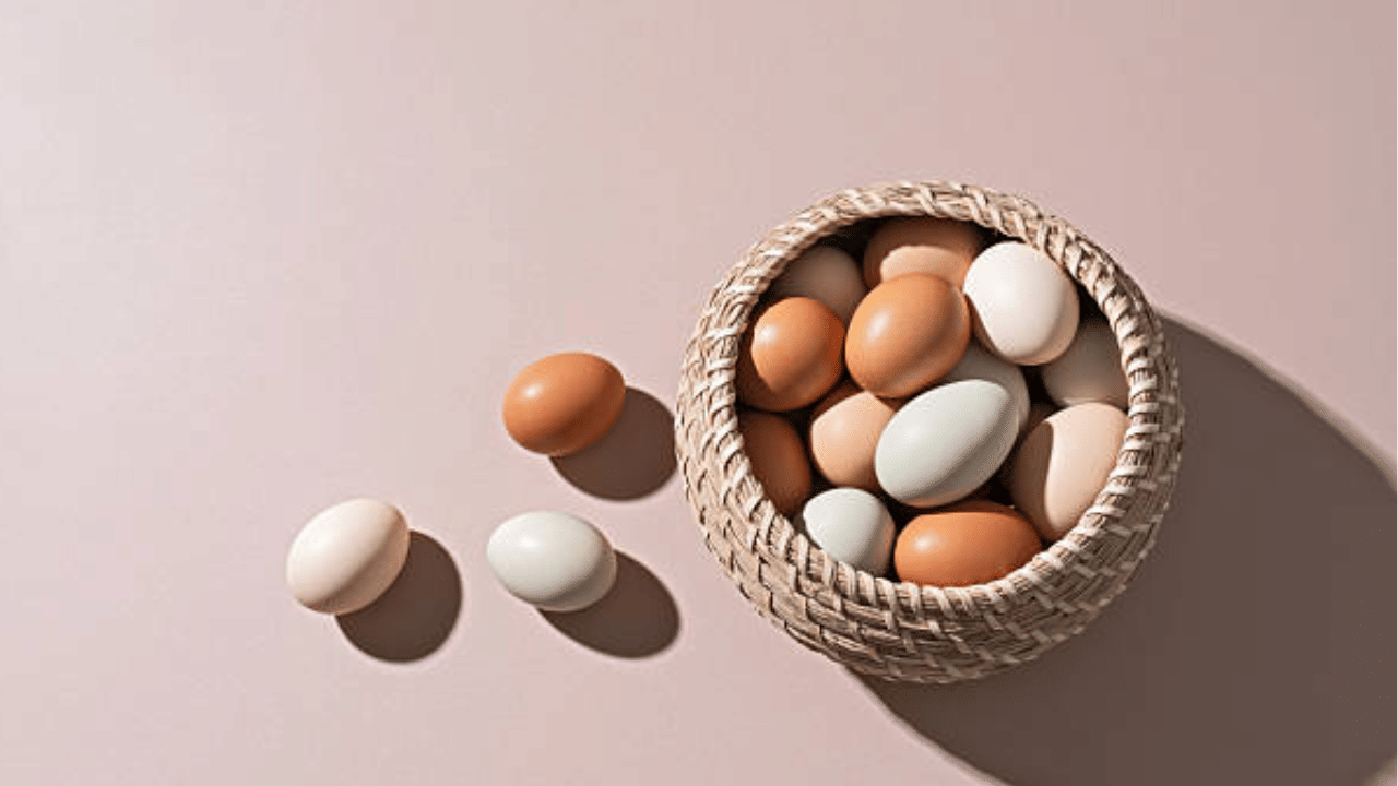 White Or Brown Eggs: വെള്ള മുട്ടയോ തവിട്ട് മുട്ടയോ, ഏതാണ് കൂടുതൽ ആരോഗ്യകരം?