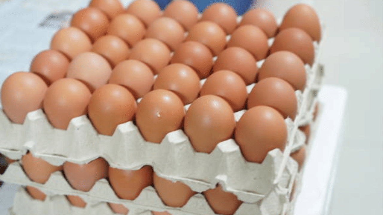 Egg Pricഡിസംബറിലാണ് നാമക്കലിൽ ചരിത്രത്തിലെ ഏറ്റവും ഉയർന്ന വില രേഖപ്പെടുത്തിയത്. ആറ് രൂപയായിരുന്നു അന്ന് രേഖപ്പെടുത്തിയത്. തുടർന്ന് 6.40 രൂപയായി വില കൂടി.  ക്രിസ്‌മസും പുതുവർഷവും കണക്കിലെടുത്ത് കേക്ക് നിർമാണത്തിന് വൻതോതിൽ ഓർഡറുകൾ വന്നതോടെയാണ് മുട്ട വിലയും കുതിച്ചത്.
