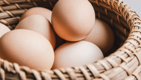 ആശ്വാസമായി കോഴിമുട്ട, വിലയിൽ വൻ ഇടിവ്