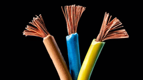 ഷോക്കടിപ്പിച്ച് ഇലക്ട്രിക് വയറുകൾ, വില കൂടിയത് 8 തവണ! കാരണമിത്