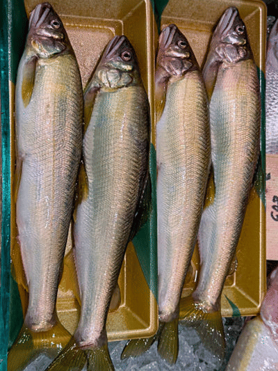 മീൻ എത്ര ദിവസം ഫ്രിഡ്ജിൽ സൂക്ഷിക്കാം?