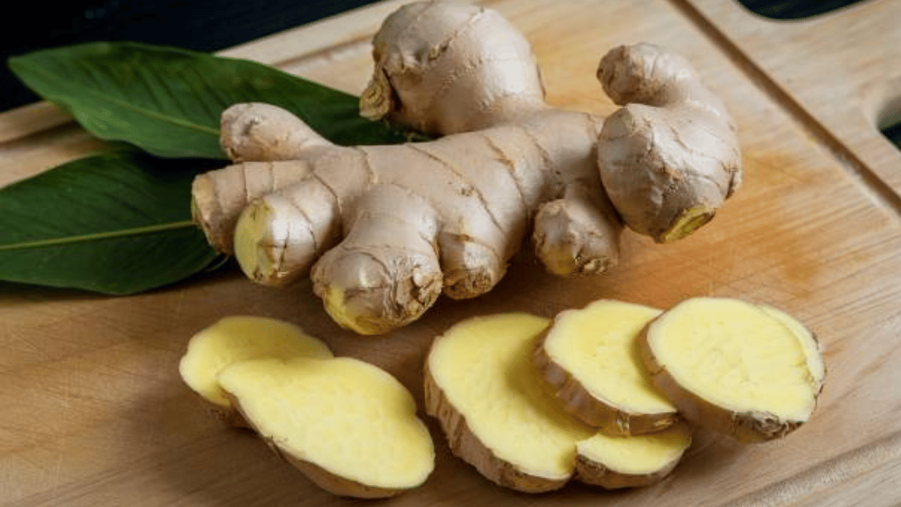 Ginger: ഒരു ചെറിയ കഷണം ഇഞ്ചി കഴിച്ചാൽ ഇത്രയധികം ഗുണങ്ങളോ? ഇതറിയാതെ പോകരുത്! Ginger: ഒരു ചെറിയ കഷണം ഇഞ്ചി കഴിച്ചാൽ ഇത്രയധികം ഗുണങ്ങളോ? ഇതറിയാതെ പോകരുത്!