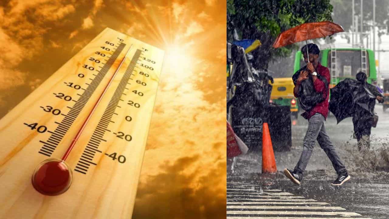 Kerala Weather Update: ചൂടിൽ ഉരുകാൻ കേരളം; ഒരേയൊരു ജില്ലയിൽ മാത്രം മഴ സാധ്യത, കാലാവസ്ഥ പ്രവചനം