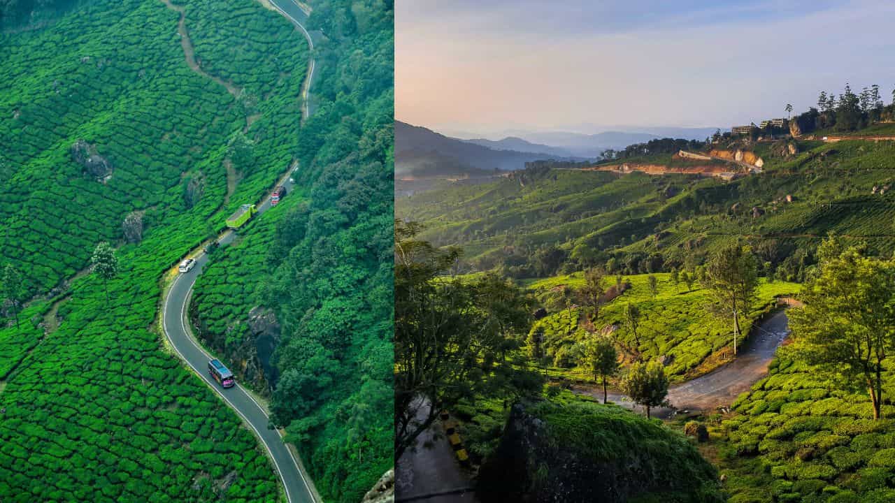 Munnar Trip: കേരളത്തിൻ്റെ സ്വന്തം കശ്മീർ; ശിക്കാര യാത്രയും ചെയ്യാം, മൂന്നാറിൻ്റെ ഭം​ഗി കാണാൻ ഒറ്റ ദിവസം മതി