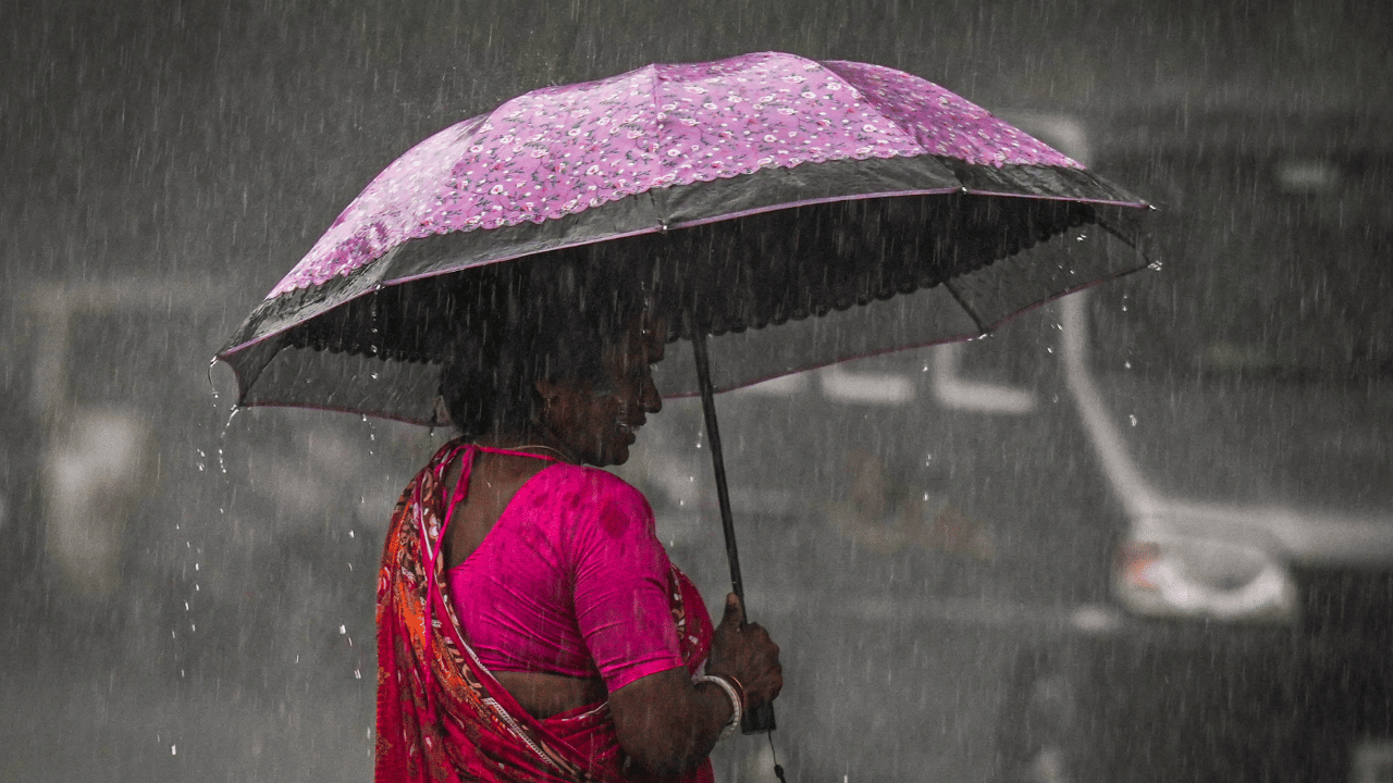 Kerala Weather Update: മഴയും വെയിലും ഒന്നിച്ച്, മുന്നറിയിപ്പ് ഈ ജില്ലക്കാർക്ക്; കാലാവസ്ഥ ഇങ്ങനെ...