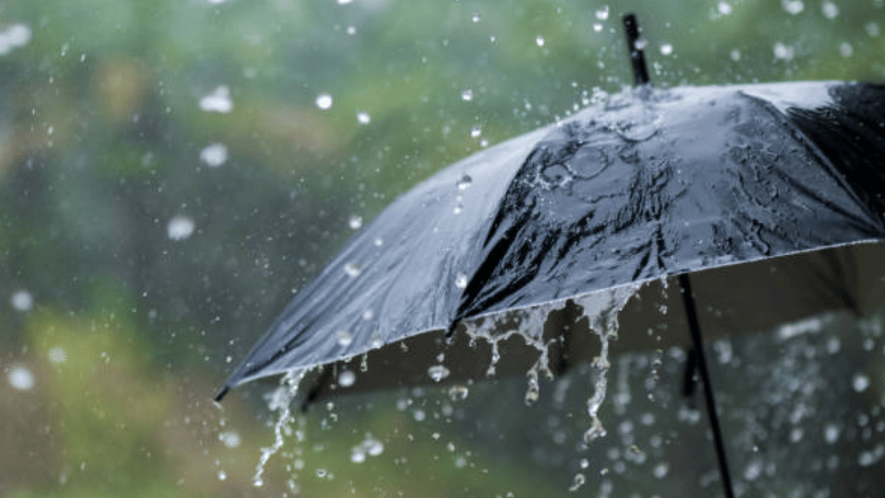 Kerala Weather Update: കുടയെടുത്തോ, ഇനി മഴ തന്നെ; ഈ ജില്ലക്കാർ ശ്രദ്ധിച്ചോണേ... കാലാവസ്ഥ ഇങ്ങനെ Kerala Weather Update: കുടയെടുത്തോ, ഇനി മഴ തന്നെ; ഈ ജില്ലക്കാർ ശ്രദ്ധിച്ചോണേ... കാലാവസ്ഥ ഇങ്ങനെ