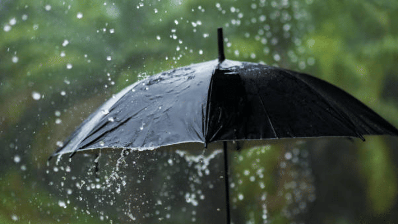 Kerala Weather Update: കുടയെടുത്തോണേ, മഴ പോയിട്ടില്ല, അലർട്ട് ഈ ജില്ലകളിൽ; ഇന്നത്തെ കാലാവസ്ഥ