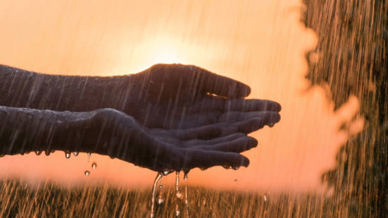 Kerala Rain Alert: എരിപൊരി വെയിലിന് വിട, ഇന്ന് കേരളം മുഴുവൻ മഴ പെയ്യും, യെല്ലോ അലർട്ട്  ഇവിടെയെല്ലാം