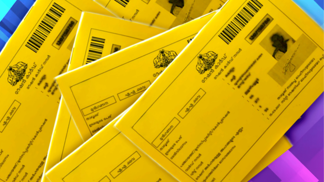 സാമൂഹികമായും സാമ്പത്തികമായും ഏറ്റവും പിന്നാക്കം നിൽക്കുന്ന എഎവൈ വിഭാഗത്തിന് മഞ്ഞ റേഷൻ കാർഡാണ് നൽകുന്നത്. ഇവർക്ക് 30 കിലോ അരിയും 2 കിലോ ഗോതമ്പും പൂർണമായും സൗജന്യമായി ലഭിക്കുന്നതാണ്. കൂടാതെ, മൂന്ന് പായ്ക്കറ്റ് ആട്ട് ഏഴ് രൂപ നിരക്കിലും, 1 കിലോ പഞ്ചസാര 27 രൂപ നിരക്കിലും ലഭിക്കും.
