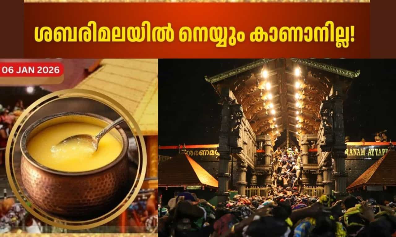 Sabarimala Ghee Scam: ശബരിമലയിൽ നെയ്യും കാണാനില്ല; 16 ലക്ഷം രൂപയുടെ 16,000 പാക്കറ്റ് നെയ്യ് എവിടെ?
