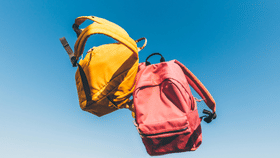 മകരവിളക്ക്, സ്കൂളുകൾക്കും സർക്കാർ ഓഫീസുകൾക്കും അവധി