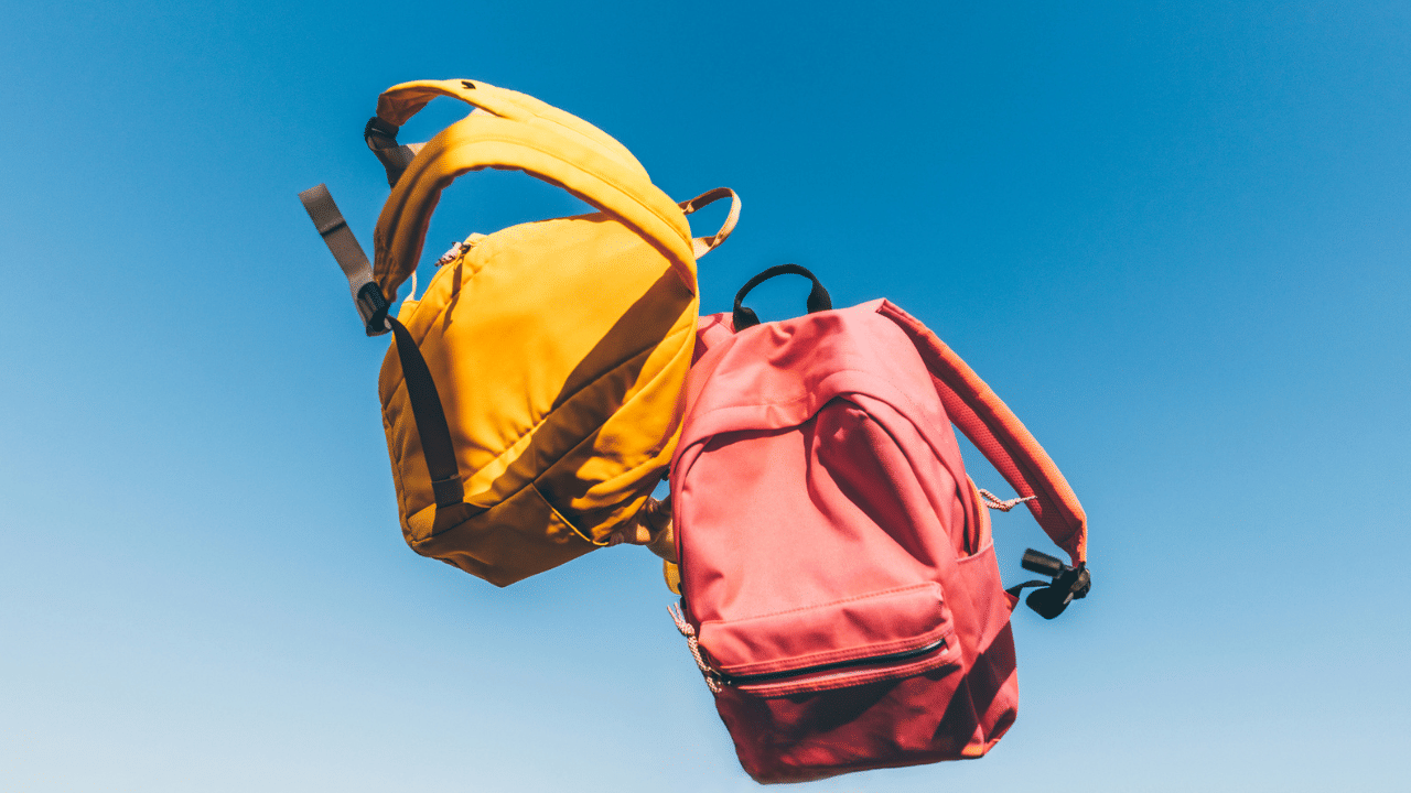 Holiday: മകരവിളക്ക്, സ്കൂളുകൾക്കും സർക്കാർ ഓഫീസുകൾക്കും അവധി; പരീക്ഷകൾക്ക് മാറ്റമുണ്ടോ? Holiday: മകരവിളക്ക്, സ്കൂളുകൾക്കും സർക്കാർ ഓഫീസുകൾക്കും അവധി; പരീക്ഷകൾക്ക് മാറ്റമുണ്ടോ?