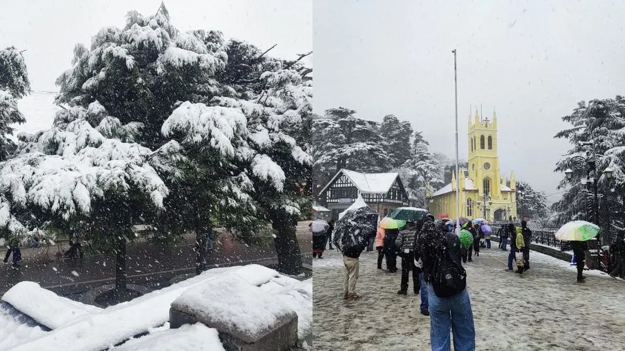 ശക്തമായ മഞ്ഞുവീഴ്ച തുടരുന്നത് വരും ദിവസങ്ങളിലും ടോയ് ട്രെയിൻ പാതയിലേക്ക് കൂടുതൽ സഞ്ചാരികളെ ആകർഷിക്കുമെന്നാണ് പ്രതീക്ഷിക്കുന്നത്.