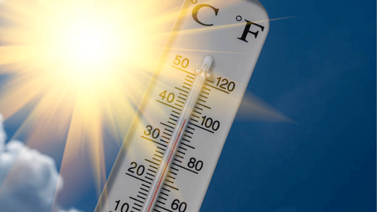 Kerala Weather Upadate: ചൂടിൽ വലയും കേരളം, മഴ ഇനി ആ ദിവസം; കാലാവസ്ഥ ഇങ്ങനെ...