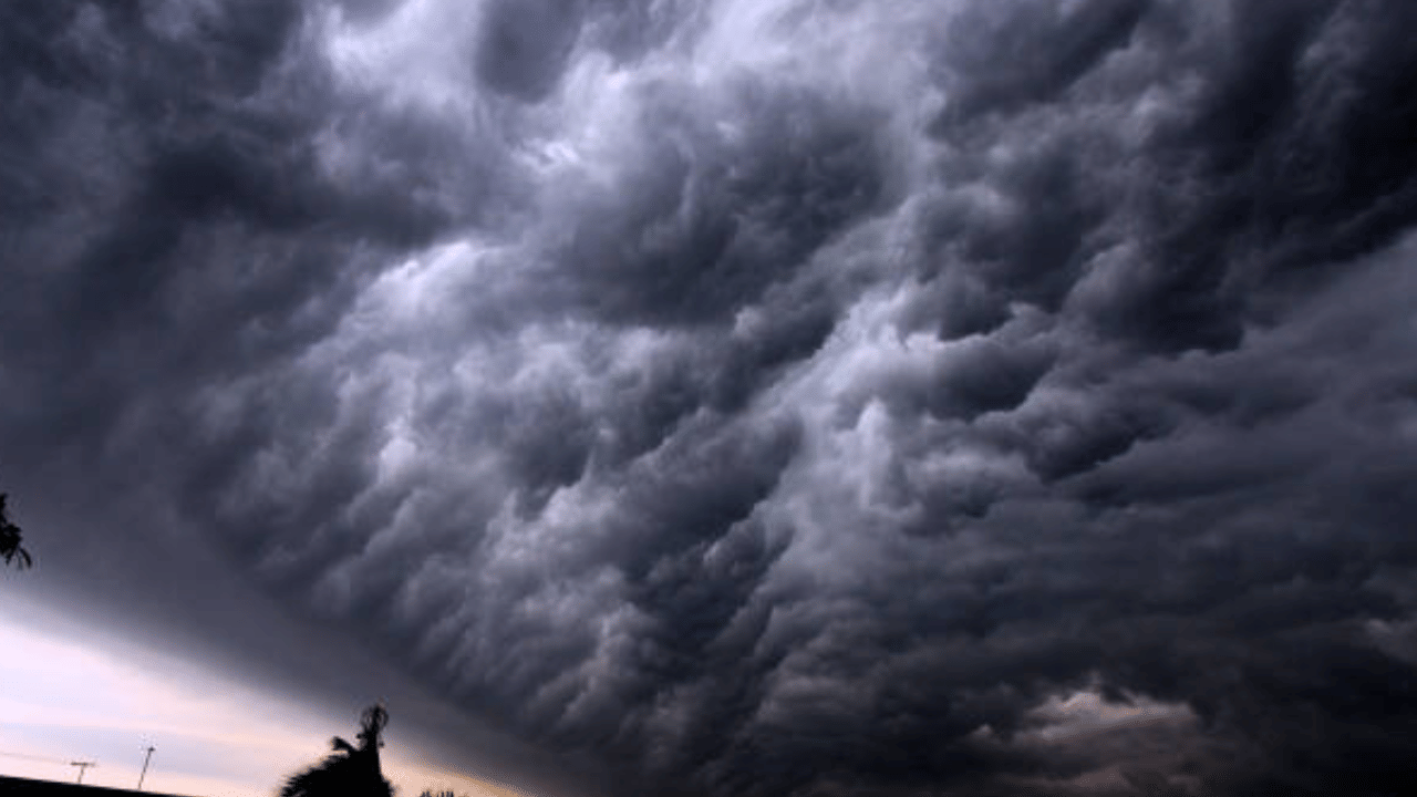 Kerala Weather Update: മഴ പോയിട്ടില്ല, ചൂടും സഹിക്കണം; ശ്രദ്ധിക്കേണ്ടത് ഈ ജില്ലക്കാർ, കാലാവസ്ഥ ഇങ്ങനെ... Kerala Weather Update: മഴ പോയിട്ടില്ല, ചൂടും സഹിക്കണം; ശ്രദ്ധിക്കേണ്ടത് ഈ ജില്ലക്കാർ, കാലാവസ്ഥ ഇങ്ങനെ...