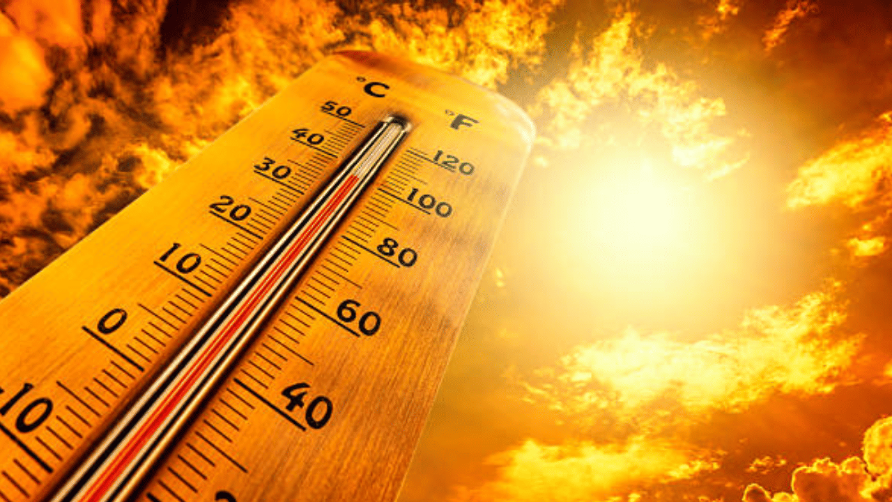 Kerala Weather Update: വേനലിൽ വലയാൻ കേരളം, മഴ ആശ്വാസമാകുമോ? കാലാവസ്ഥ മുന്നറിയിപ്പ് ഇങ്ങനെ...