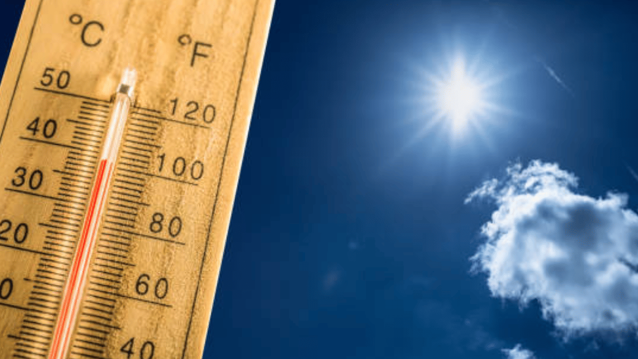 Kerala Weather Update: വേനൽ കടുക്കും, മഴ എവിടെയെല്ലാം? ഇന്നത്തെ കാലാവസ്ഥ