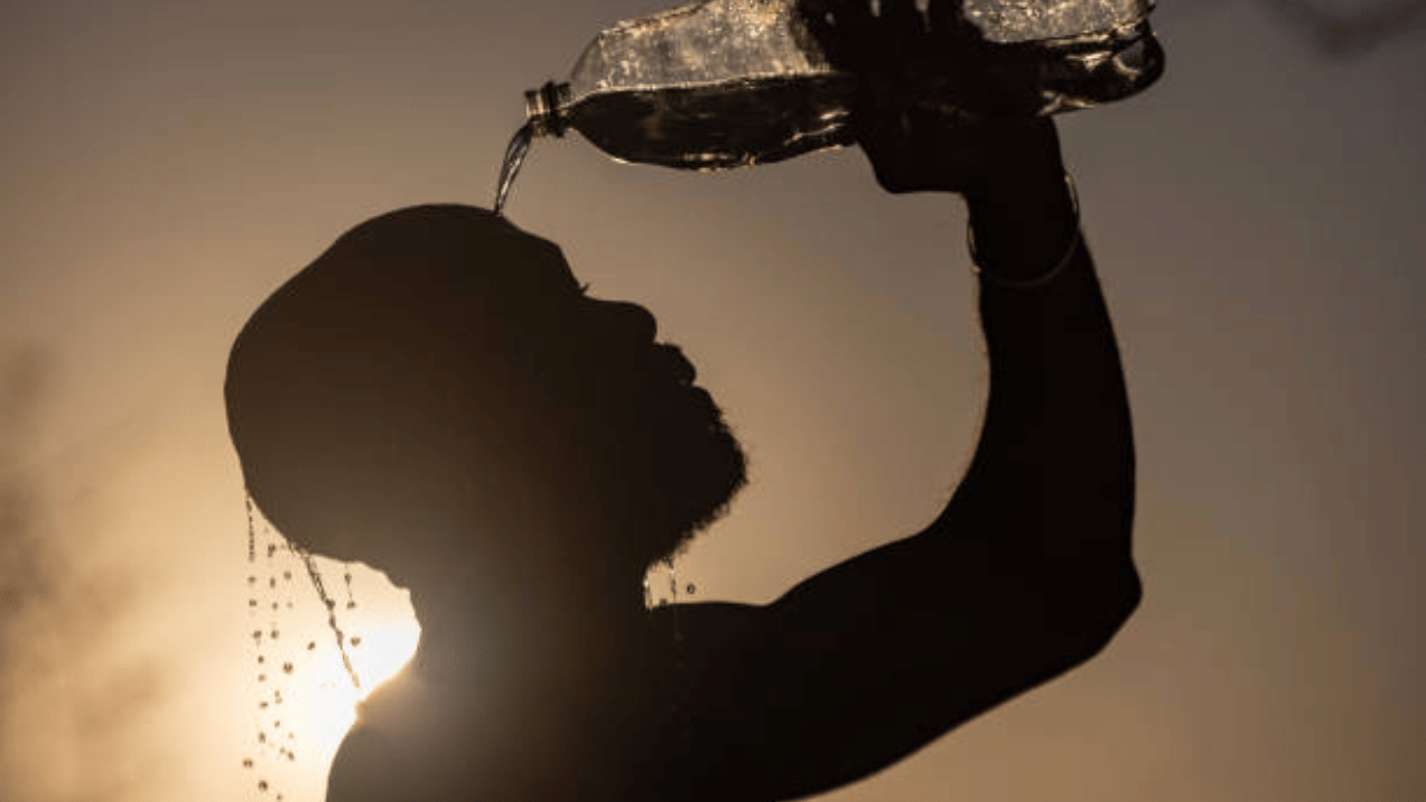 Kerala Weather Update: കൊടുവെയിലിൽ തളരും, ഇന്ന് മഴയുണ്ടോ? കാലാവസ്ഥ ഇങ്ങനെ...